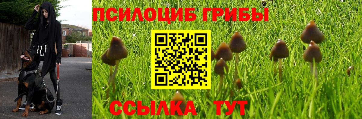 Псилоцибиновые грибы Magic Shrooms Верхняя Пышма