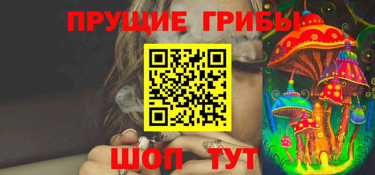 Верхняя Пышма  Псилоцибиновые грибы ЛСД  Псилоцибиновые грибы Psilocybe  Вход с VPN 